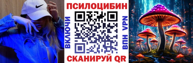 хочу   Березники  Галлюциногенные грибы прущие грибы 